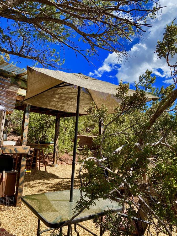 The Chi-treehouse At Sunny Mellow Eco