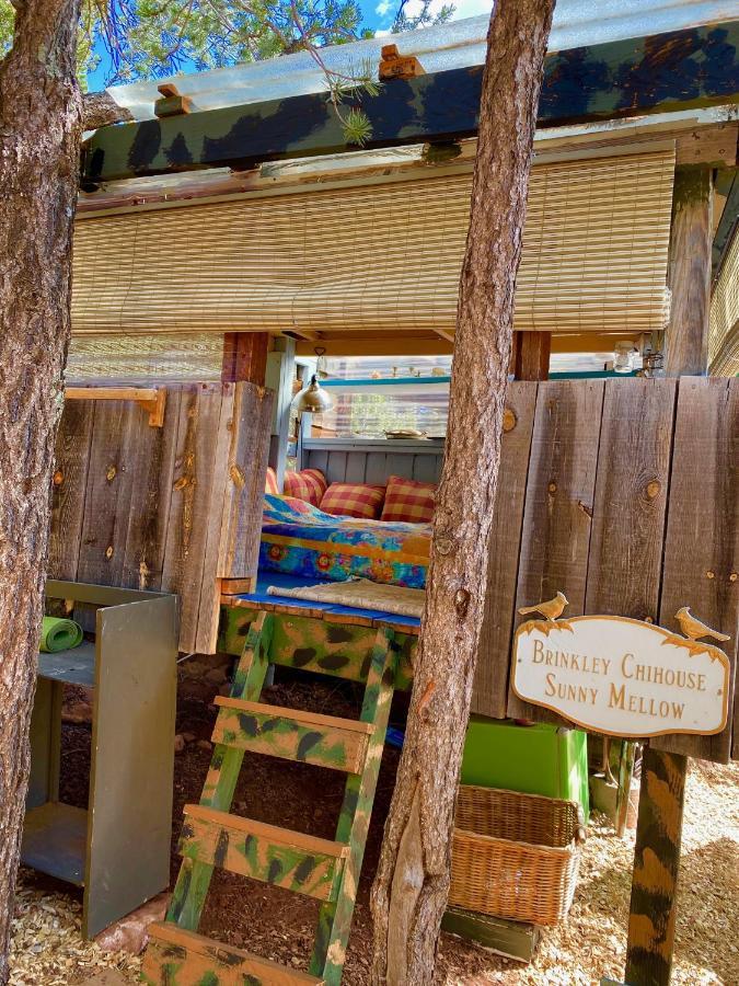 The Chi-treehouse At Sunny Mellow Eco