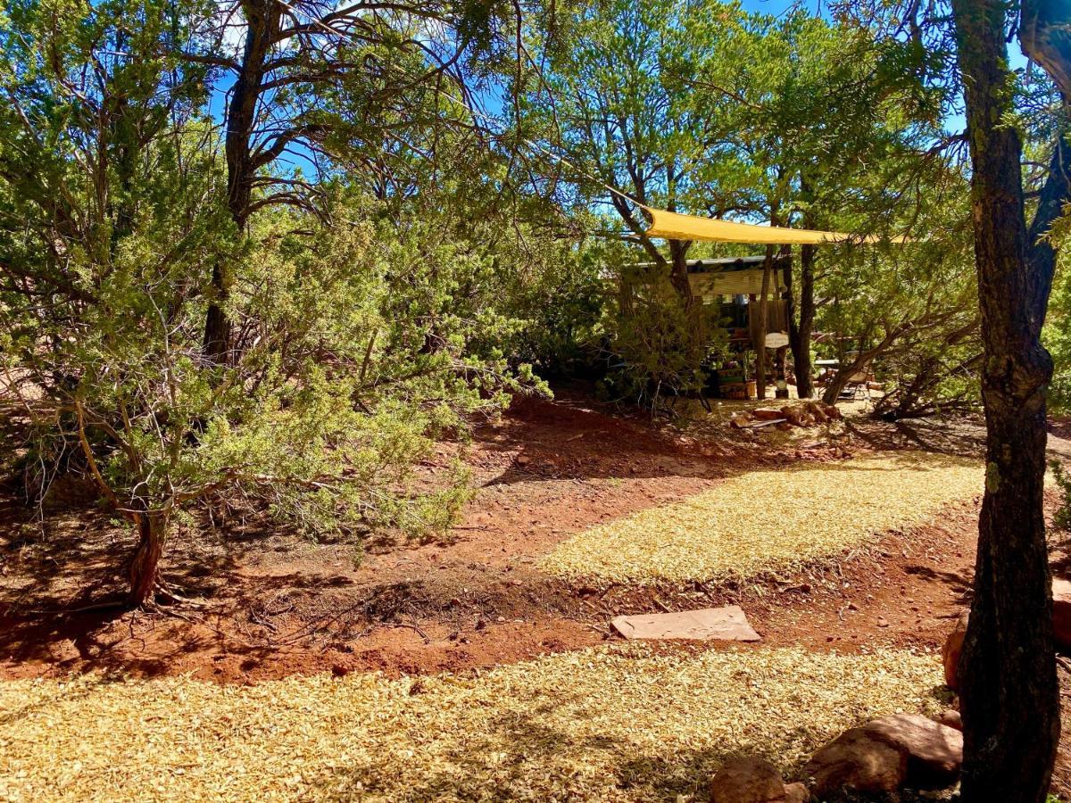 The Chi-treehouse At Sunny Mellow Eco Villa