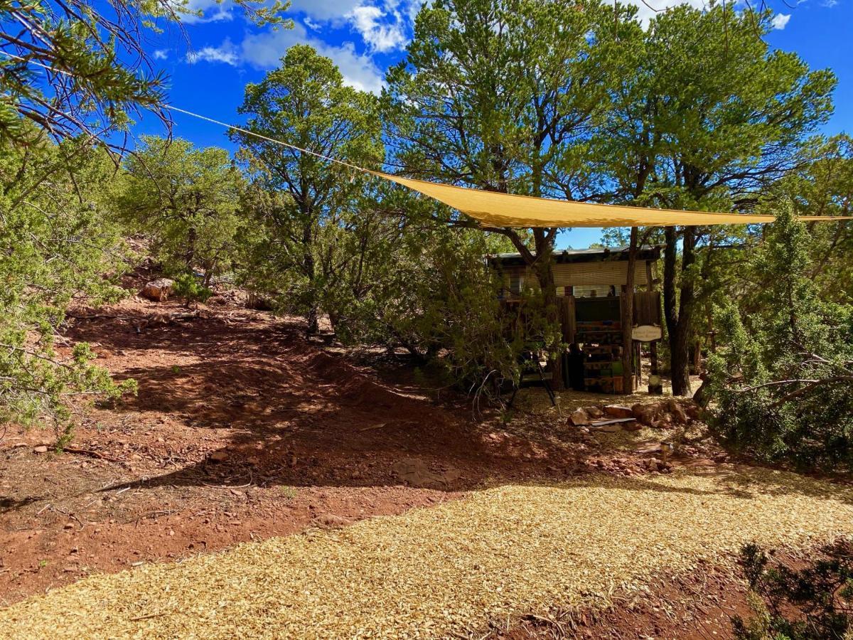 The Chi-treehouse At Sunny Mellow Eco Tijeras